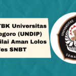 Universitas Diponegoro